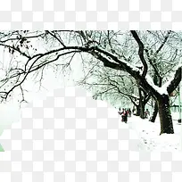 雪盖树枝水墨风格