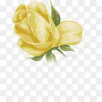 手绘黄色玫瑰婚礼效果素材
