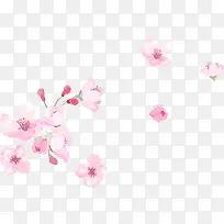 教师节粉色花朵贺卡