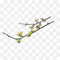 高清摄影创意春天的桃花