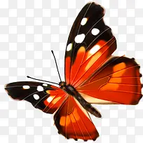 高清手绘合成橙色的蝴蝶