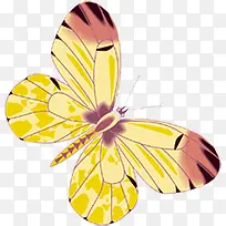 手绘黄色斑点蝴蝶