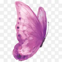 中秋节手绘紫色蝴蝶