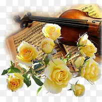 黄花与提琴