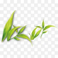 手绘黄绿色小草树叶
