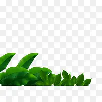 绿色手绘植物树叶