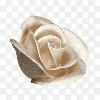 银白色玫瑰花