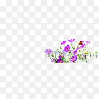 紫色小碎花春天素材图片
