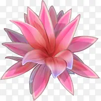 手绘梦幻彩色分层花朵