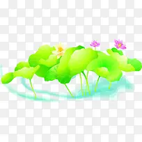 手绘荷花塘卡片设计