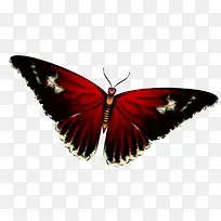 红色复古翅膀蝴蝶