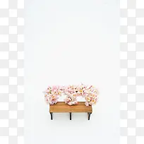 红色花朵高清摄影图