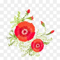 手绘红色花朵植物美景