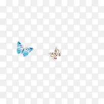 蓝色蝴蝶白色蝴蝶
