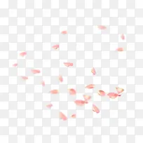 粉红花朵漂萝装饰