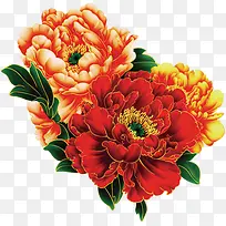 中秋节彩色九月菊