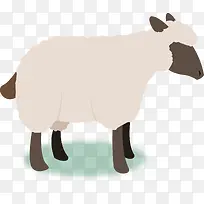 卡通羊动物矢量图