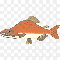 卡通热带鱼红小鱼
