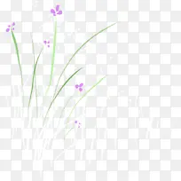 手绘唯美简约花朵植物