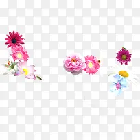 彩色唯美手绘花朵设计