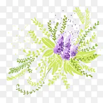 手绘唯美淡雅花朵植物