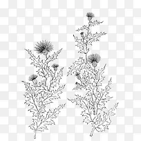 古典纹理背景与花卉