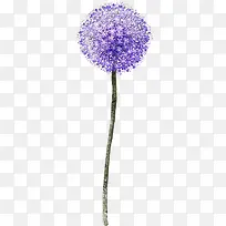 紫色艺术花球