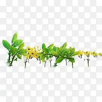 宣传海报植物绿色树苗花朵