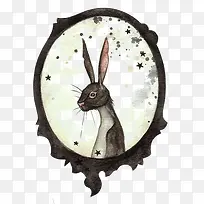 相框里的兔子
