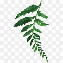 手绘水彩绿色植物装饰