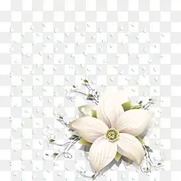 花朵