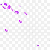 飘舞紫色花瓣