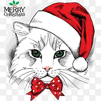 圣诞节贺卡装饰猫咪