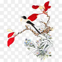 鸟
