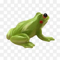 漂亮绿色青蛙