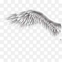 天使的单翼翅膀
