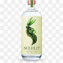 新鲜绿植创意瓶子