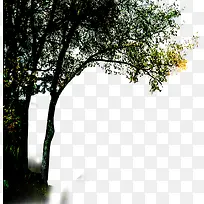 高清摄影风格复古绿色树木