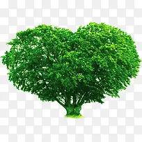绿色创意树木爱心