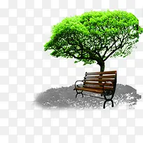 绿色公园风光景色树木长椅