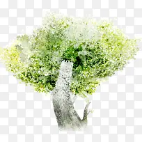 绿色梦幻树木创意