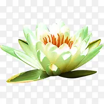卡通花朵效果海报