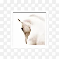中堂画素描挂画图案