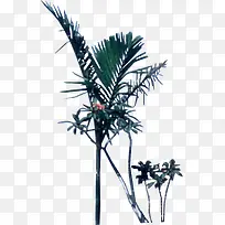 手绘椰子树背景素材