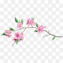 一只小花