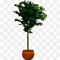 手绘园林景观绿色植物