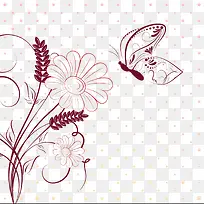 蝴蝶花卉
