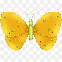 黄色花纹蝴蝶