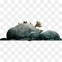 珊瑚礁海洋夏日素材