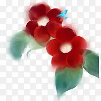 花卉